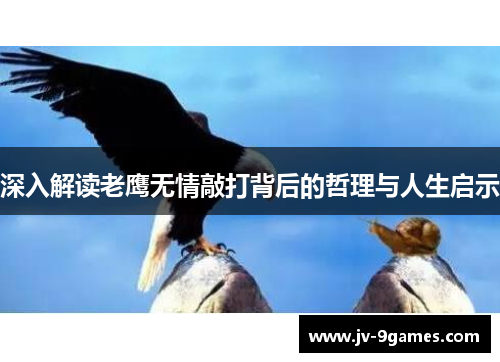 深入解读老鹰无情敲打背后的哲理与人生启示